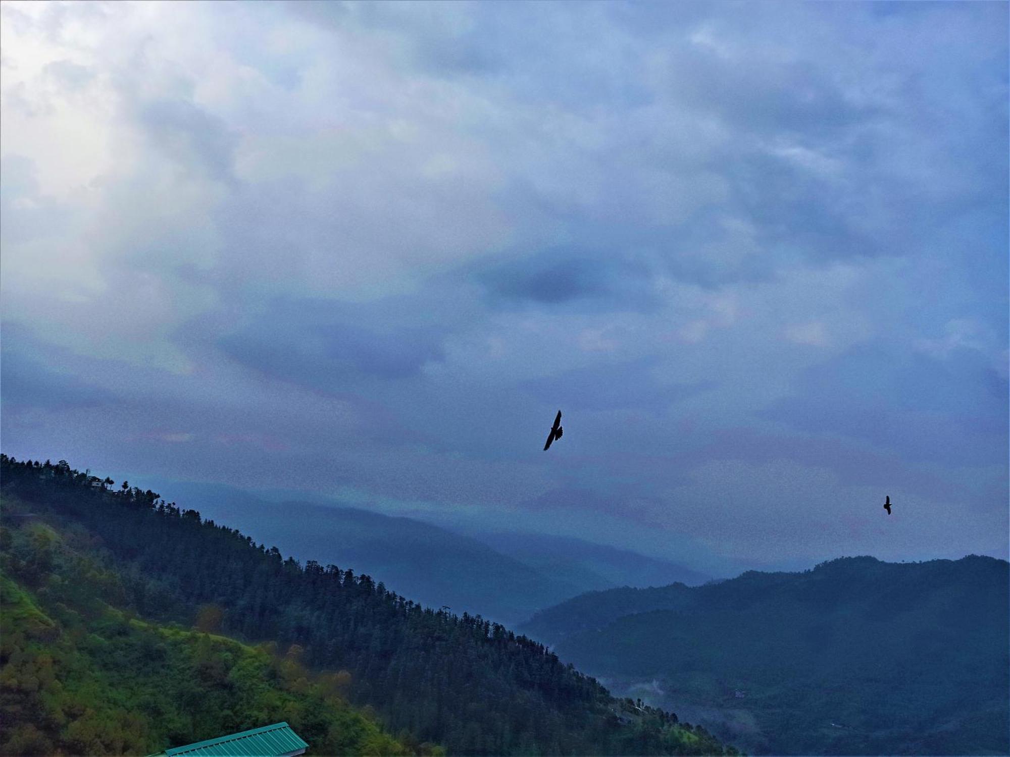 Mountain And Peace Διαμέρισμα Σίμλα Εξωτερικό φωτογραφία